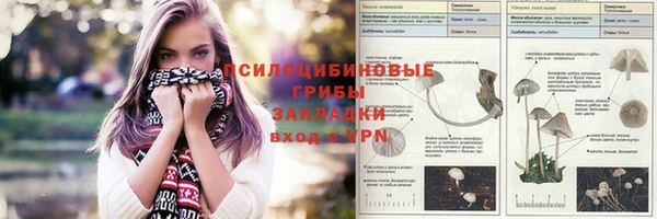 трава Мегион