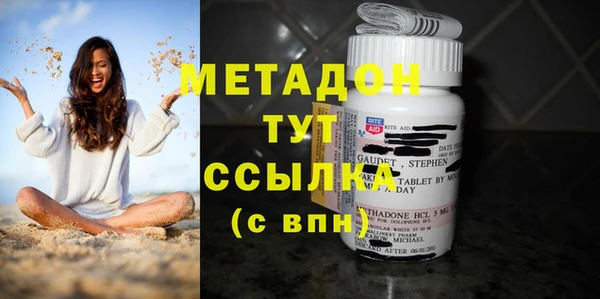 прущие грибы Медногорск
