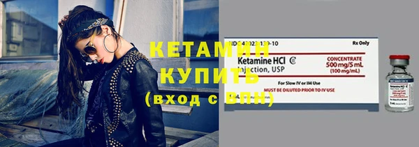 прущие грибы Медногорск