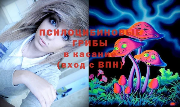 2c-b Медвежьегорск