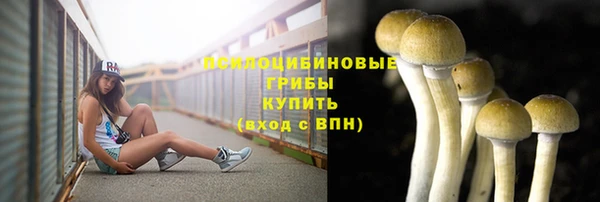 трава Мегион