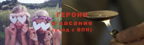 прущие грибы Медногорск