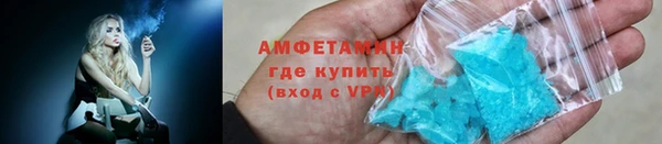 прущие грибы Медногорск
