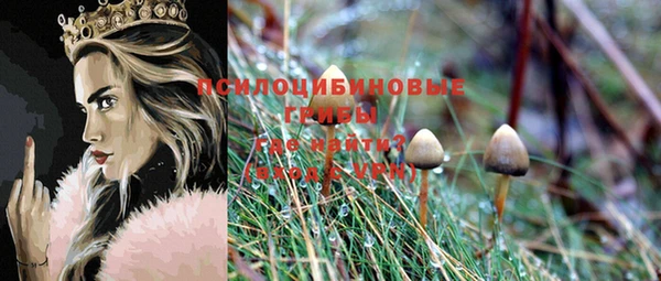 трава Мегион