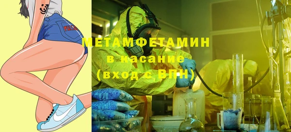 прущие грибы Медногорск
