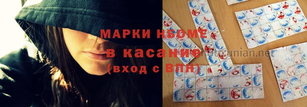 прущие грибы Медногорск