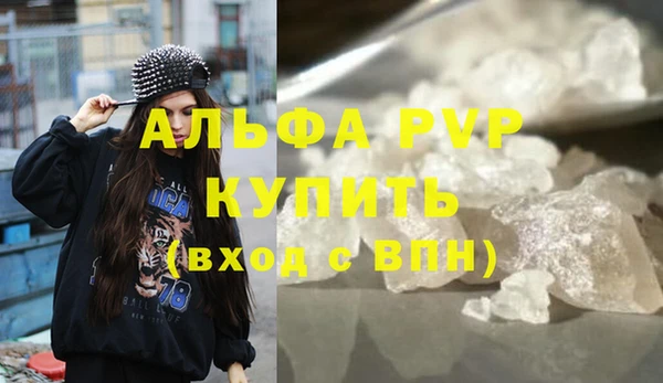 прущие грибы Медногорск